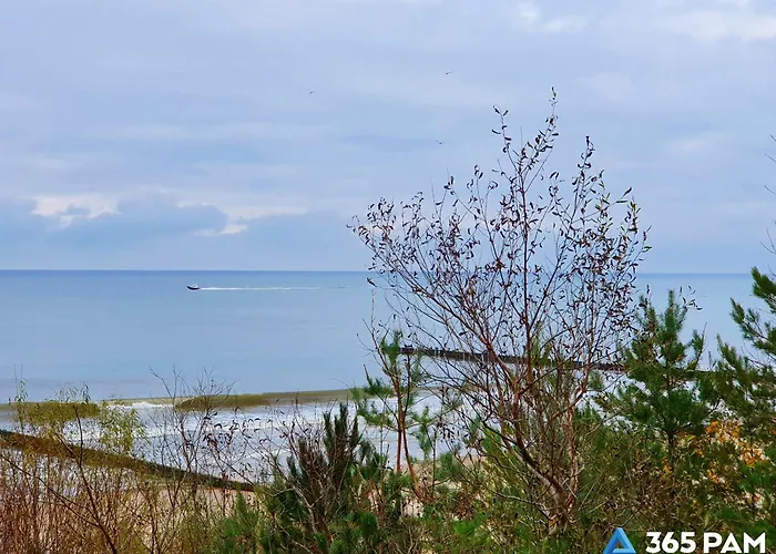 365pam - Dwie Sosny Przy Plazy - Sauna, Jacuzzi, Silownia, Bawialnia アパート